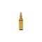 Concentrado Glow 7 | Ampollas antioxidantes iluminadoras 6 x 4 ml -Infusion 7C - Kelaya ®