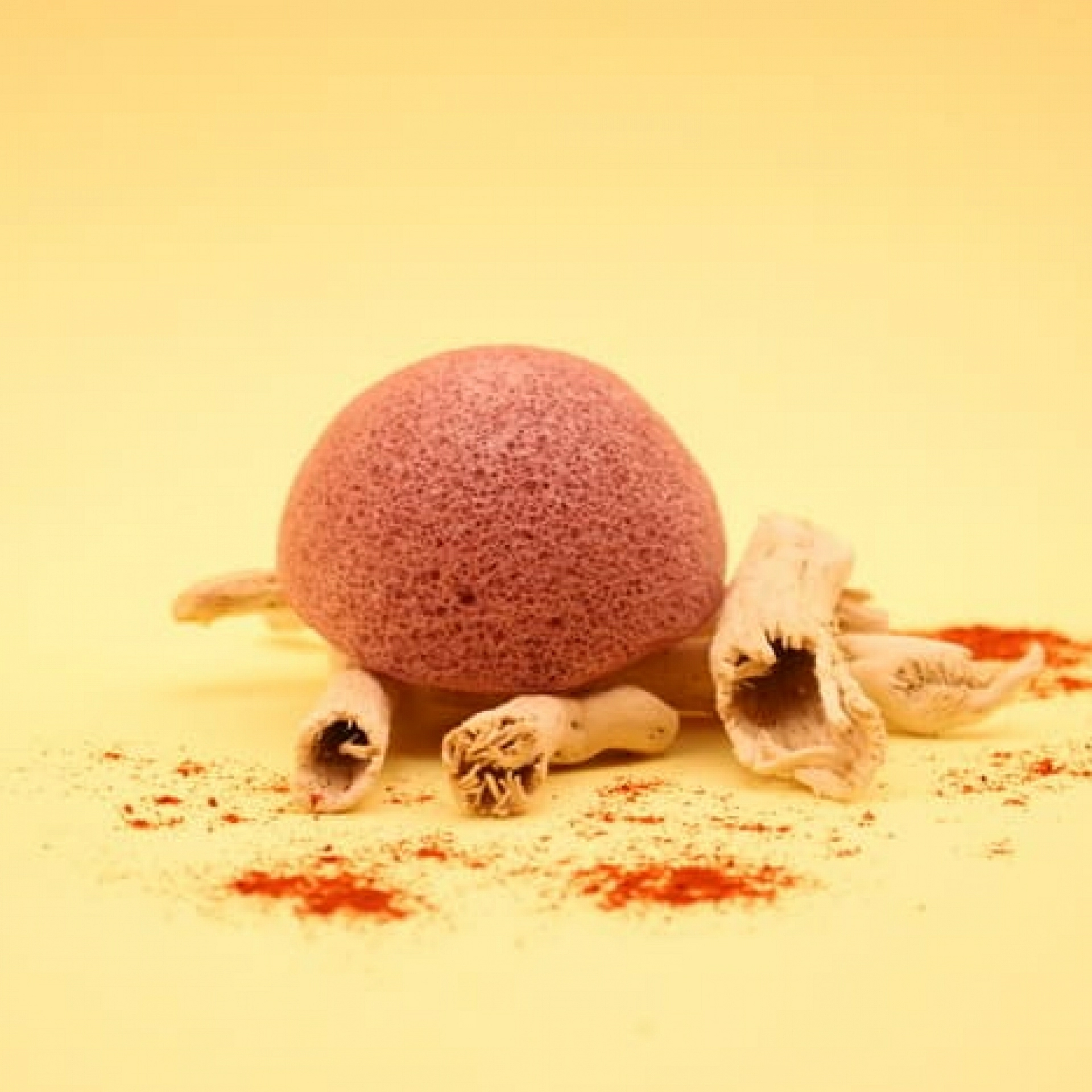 Konjac | Esponja arcilla roja 1 ud - Ella Baché ®