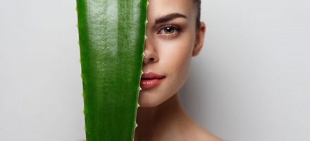 Las 5 mejores cremas de Aloe Vera para la cara