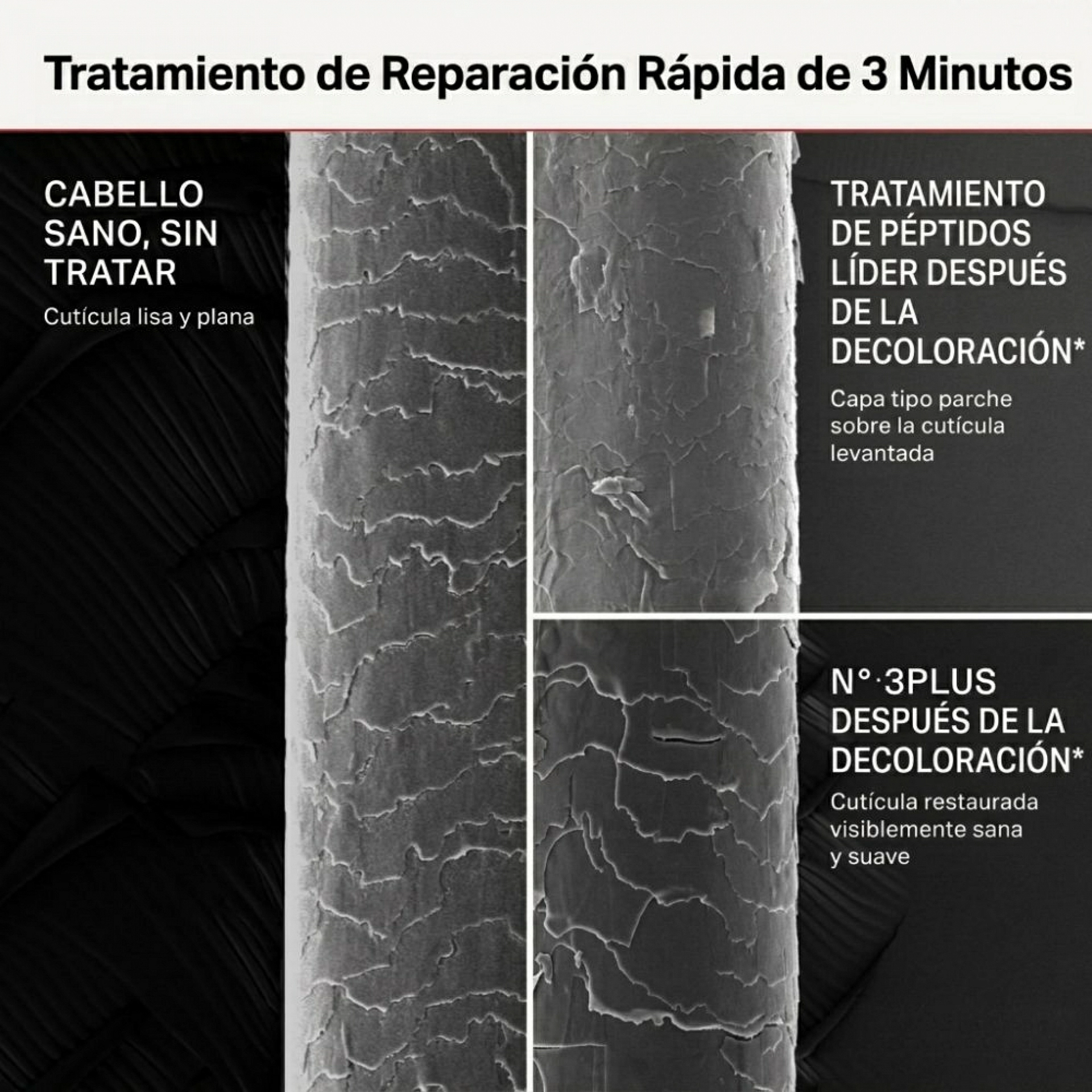 N°.3 PLUS Complete Repair Treatment | N°.3 PLUS Tratamiento Reparador Capilar – Olaplex ®
