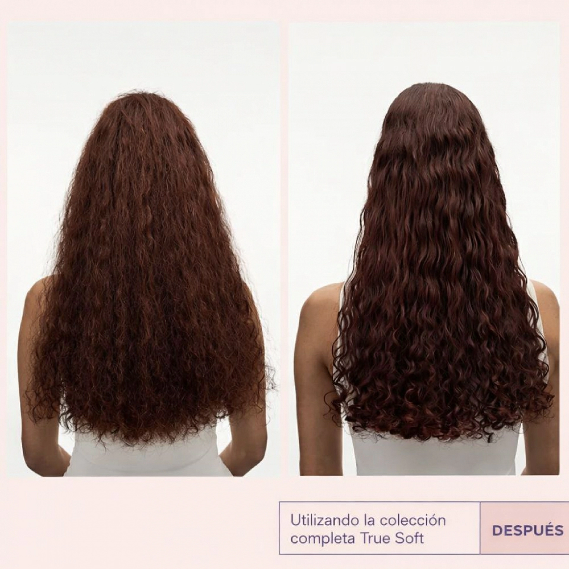 Shampoo | Champú Hidratante para Cabello Seco - True Soft - Maria Nila ®