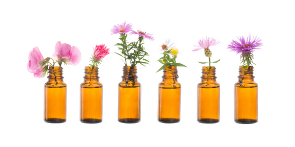 Aceite esencial de geranio
